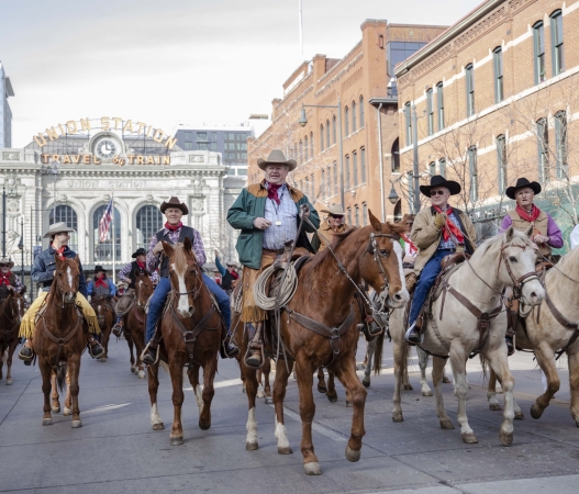 National Western Stock Show parade: What you need to know