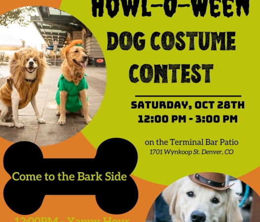 Howl-o-ween Pet Costume Contest Flyer Halloween Dog Pet 