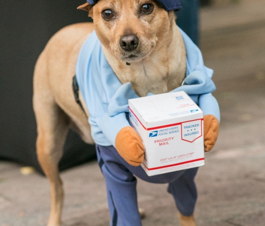 Howl-o-ween Pet Parade and Costume Contest Tickets, Sat, Oct 28